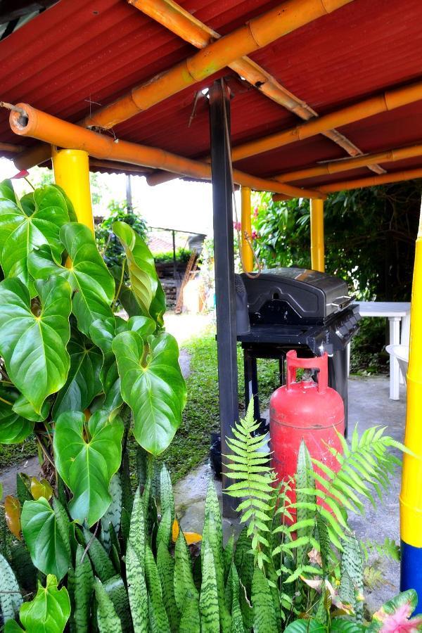 מונטנגרו Casa Finca Villa Luz A 800 Mts Del Parque Del Cafe מראה חיצוני תמונה